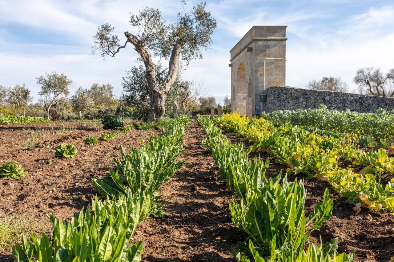 מלון מלנדוניו Relais Borgo Segine מראה חיצוני תמונה